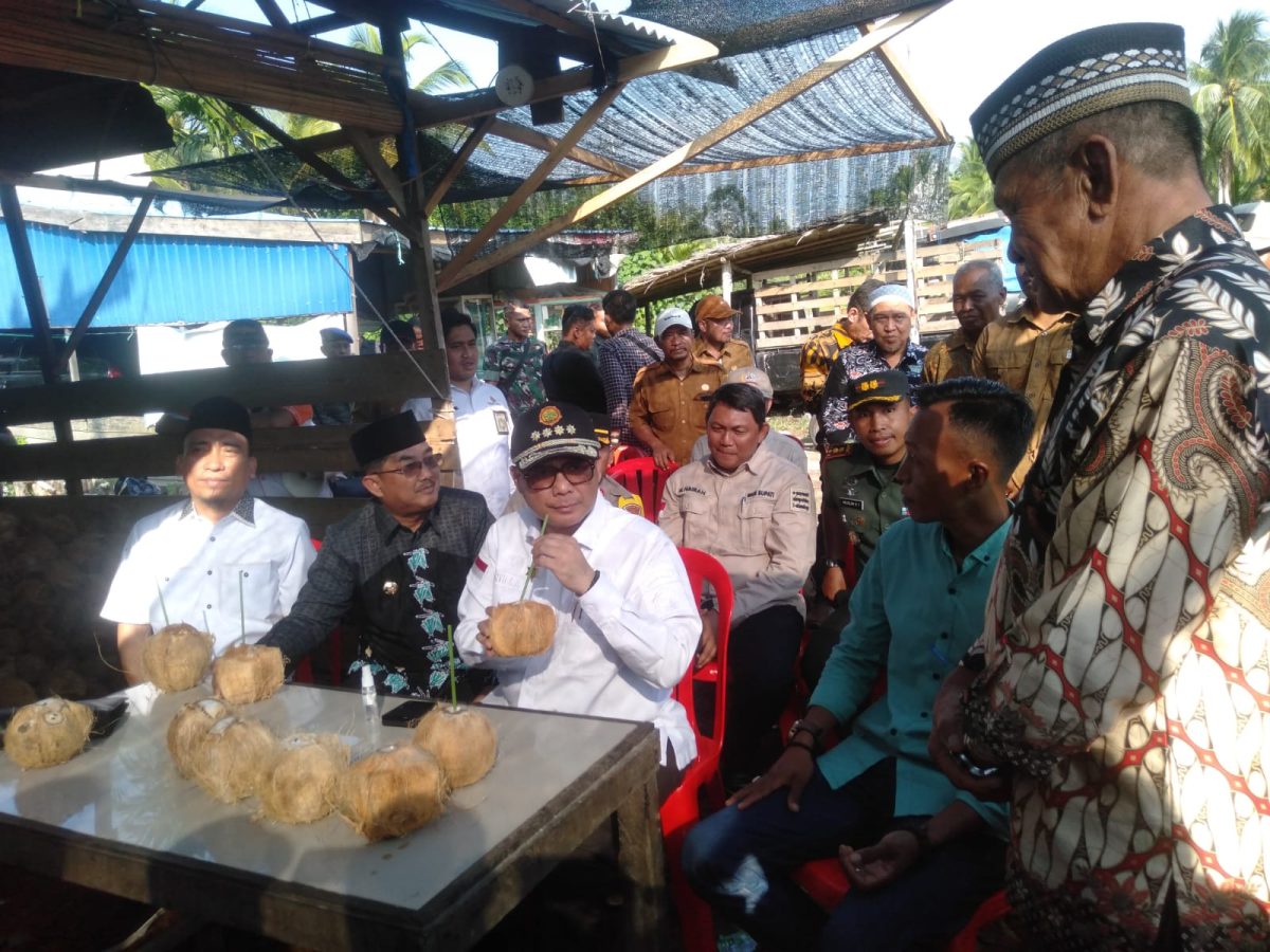 Wamentan Harvick Hasnul Qolbi didampingi Bupati H. Anwar Sadat, Sekretaris Jenderal STII H Iqbal Sayuti dan H Husairi Staf Ahli Gubernur Berbincang dengan Petani Kelapa Dalam di Tanjab Barat, Selasa (22/8/23) FOTO : LT