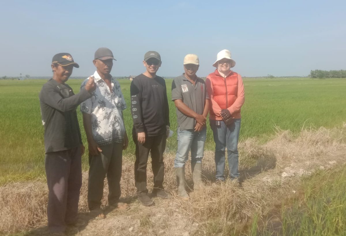 Bacabup Dillah Hich - MT saat Berdialog Langsung dengan Petani Padi di Desa Simpang Datuk, Minggu (28/7). FOTO : bj