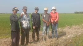 Bacabup Dillah Hich - MT saat Berdialog Langsung dengan Petani Padi di Desa Simpang Datuk, Minggu (28/7). FOTO : bj