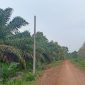 Tiang listrik permanen terpasang di desa Sungai Tering, namun belum teraliri listrik, Senin (5/4). FOTO : Doni