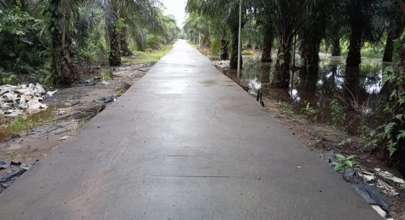 foto slider headline