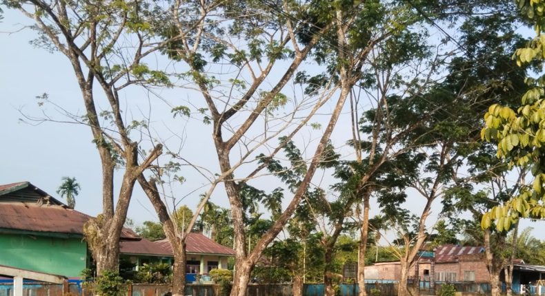 foto slider headline