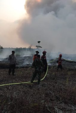 Kebakaran Lahan di Parit Culum 1 Tanjab Timur, Api Hanguskan Sekitar 10 Hektare