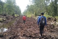 Tim Pamhut KPHP unit XIV Tanjab Timur Melakukan Patroli di Kawasan HLG Londerang. (Dok:KPHP)