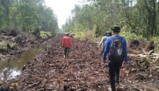 Tim Pamhut KPHP unit XIV Tanjab Timur Melakukan Patroli di Kawasan HLG Londerang. (Dok:KPHP)