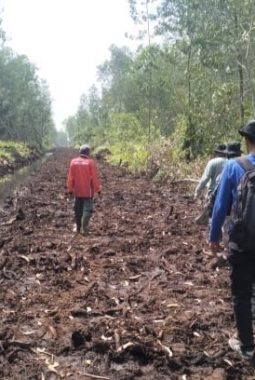Heboh Excavator Masuk Kawasan HLG Londerang, KPHP Unit XIV Tanjab Timur Turun Patroli, Dugaan Pelanggaran Kawasan Hutan Disorot