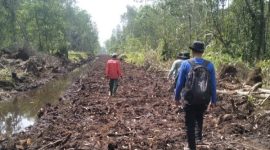Tim Pamhut KPHP unit XIV Tanjab Timur Melakukan Patroli di Kawasan HLG Londerang. (Dok:KPHP)